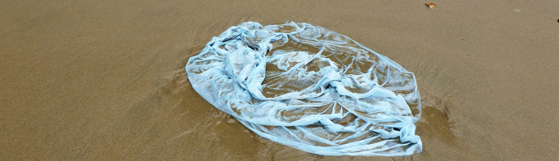 A plastic bag on the seashore.
