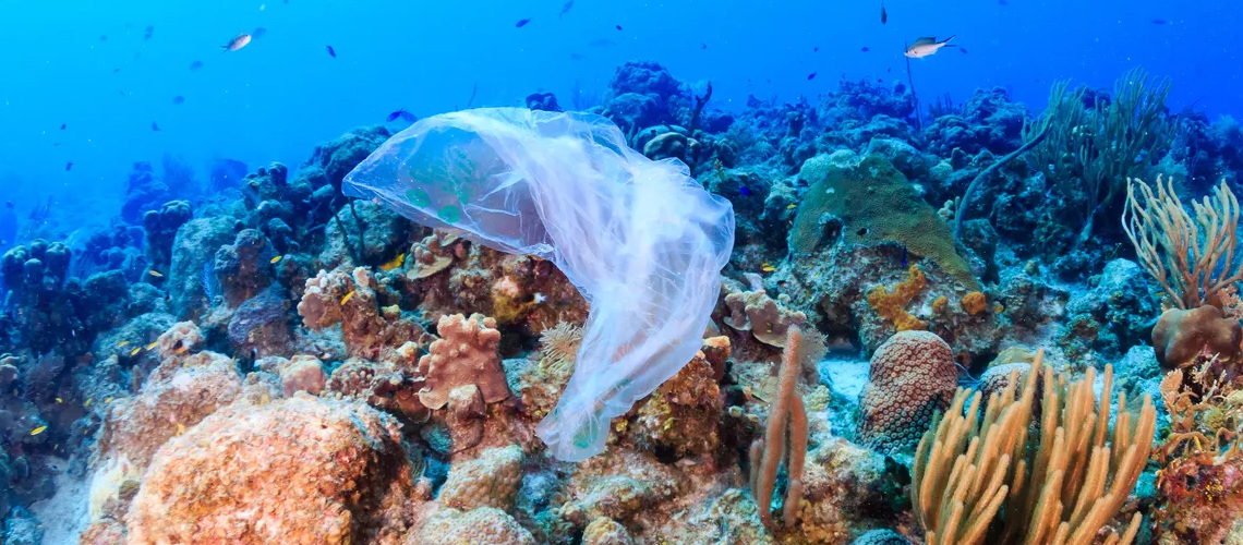 A white plastic bag under the sea surrounded with corals.