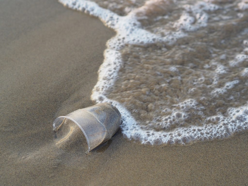 A transparent plastic cup on the seashore.